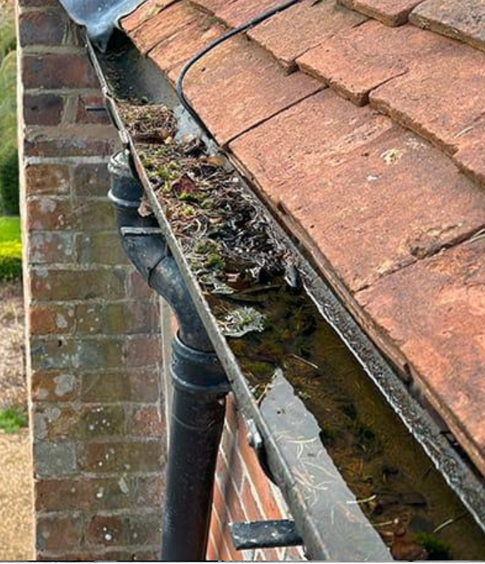 Reliable Guttering Systems Built for Long-Term Protection